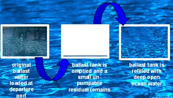 Sequential Ballast Exchange Method. Figure courtesy of the PWSRCAC.